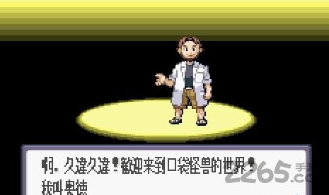 口袋妖怪幻月破解版下载,口袋妖怪幻月,动漫游戏,冒险游戏